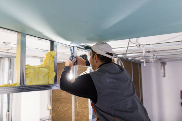 Best Insulation Maintenance and Repair in Friendly, MD