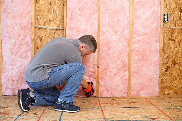 Best Insulation Installation Services in Friendly, MD